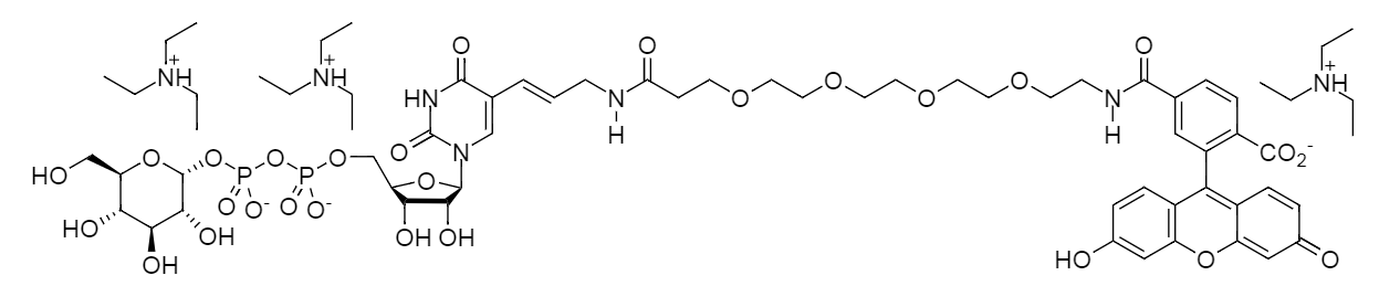 Glucose-UDP-(PEG)6-Fluorescein Conjugate|尿苷5&#039;-二磷酸-1-α-D-葡萄糖-六聚乙二醇-荧光素结合物