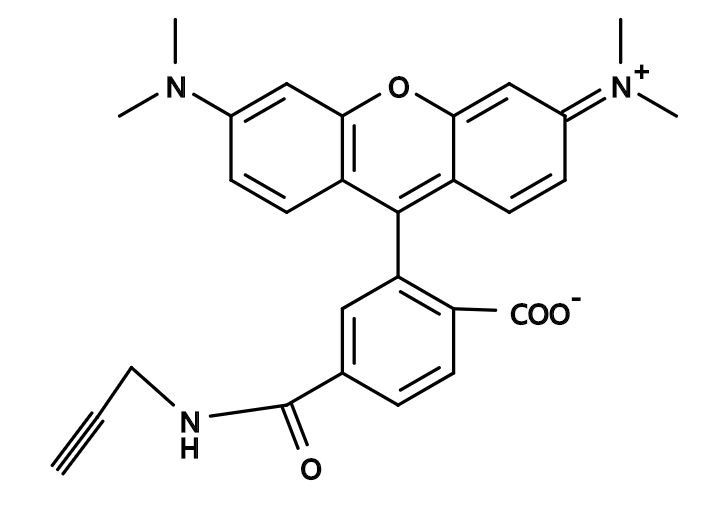 6-TAMRA alkyne|6-羧基四甲基罗丹明, 炔基|6-Carboxytetramethylrhodamine, alkyne