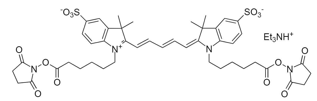 Cy5 bisNHS ester|花青5双琥珀酰亚胺酯