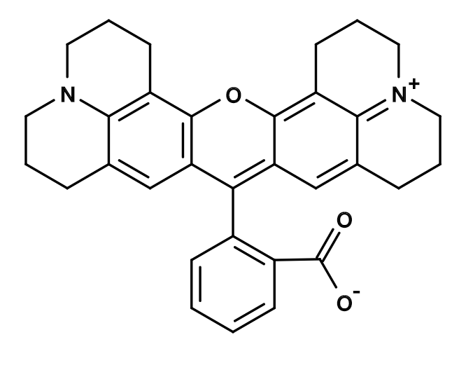 Rhodamine 101 Inner Salt|CAS116450-56-7|罗丹明101内盐