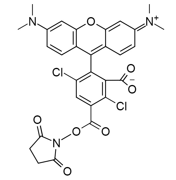 5-dTMR, succinimidyl ester|5-羧基-4,7-二氯四甲基罗丹明琥珀酰亚胺酯