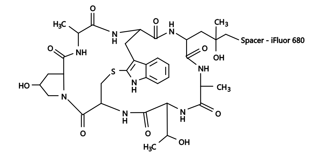 Phalloidin-iFluor™ 680 Conjugate|鬼笔环肽-iFluor™680偶联物