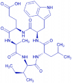 Cyclo(-D-Glu-Ala-D-allo-Ile-Leu-D-Trp),cas:173326-37-9