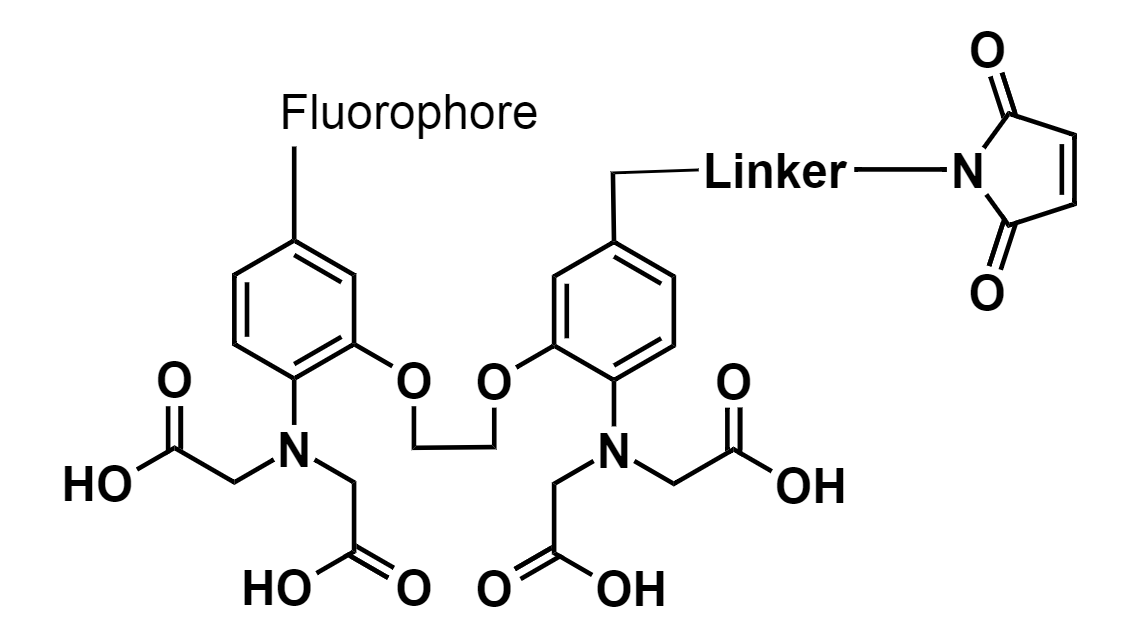 Cal-520® maleimide;Cal-520®马来酰亚胺