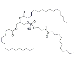 cas:474944-08-6|1,2-DIPALMITOYL-SN-GLYCERO-3-PHOSPHOETHANOLamine-N-(DODECANYLamine)