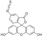 异硫氰酸荧光素cas:27072- -45- 3