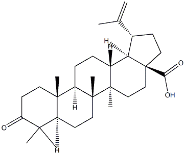 白桦脂酮酸cas:4481-62-3