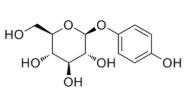 CAS:497-76-7;熊果苷