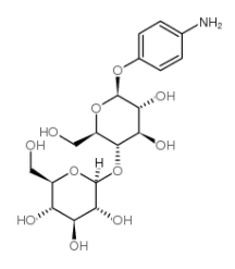 4-氨基苯基-Β-D-吡喃纤维二糖苷 cas:42935-24-0