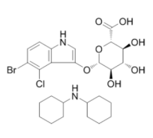 X-Gluc二环己胺  CAS号	18656-96-7