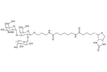 (3AS,4S,6AR)-N-[6-[[3-[[O-2-(乙酰氨基)-2-脱氧-ALPHA-D-吡喃半乳糖基-(1-3)-O-[6-脱氧-ALPHA-L-吡喃半乳糖基-(1-2)]-BETA-D-吡喃半乳糖基]氧基]丙基]氨基]-6-氧代己基]六氢-2-氧代-1H-噻吩并[3,4-D]咪唑-4-戊酰胺.CAS:870891-83-1