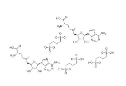 丁二磺酸腺苷蛋氨酸,cas101020-79-5