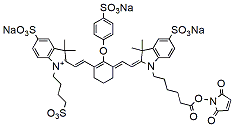 800CW NHS (IRDye TM 800CW NHS equivalent),cas:956579-01-4