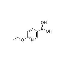 6-乙氧基吡啶-3-硼酸,CAS： 612845-44-0