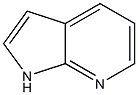 7-氮杂吲哚,CAS:271-63-6