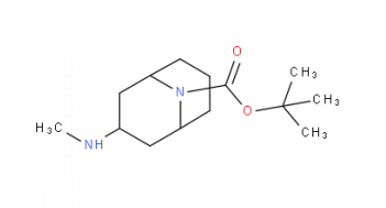 exo-3-methylamino-9-boc-9-azabicyclo[3.3.1]none，CAS: 1818847-31-2