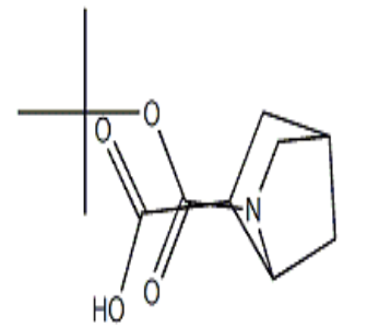 2-Aza-bicyclo[2.2.1]hepte-2,6-dicarboxylic acid 2-tert-butyl ester，CAS: 1860028-20-1