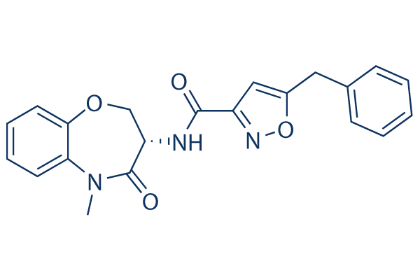 GSK481