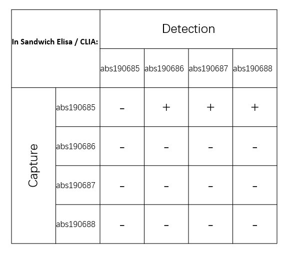 Rabbit anti-MPO Recombinant Monoclonal Antibody(224-72)