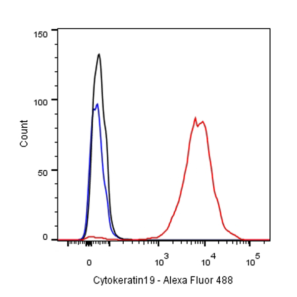 Rabbit anti-CytokeRatin 19 Recombiant Monoclonal Antibody(107-19)