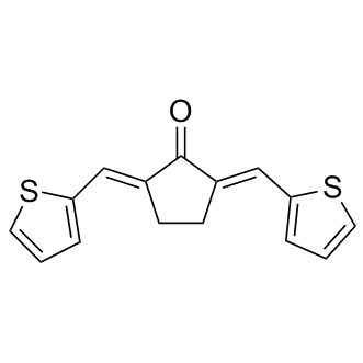 CCT007093