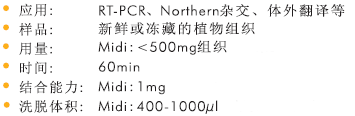 植物RNA中量提取试剂盒