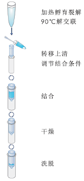 石蜡包埋组织DNA抽提试剂盒