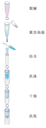 昆虫组织DNA小量提取试剂盒