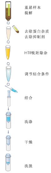 水样DNA提取试剂盒