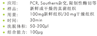 SP真菌DNA小量提取试剂盒