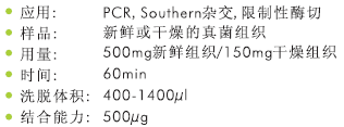 真菌DNA中量提取试剂盒