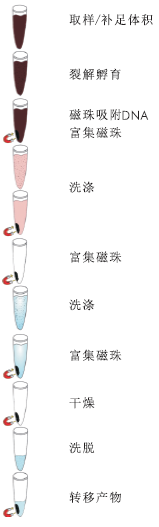 96孔磁珠血液DNA小量抽提试剂盒